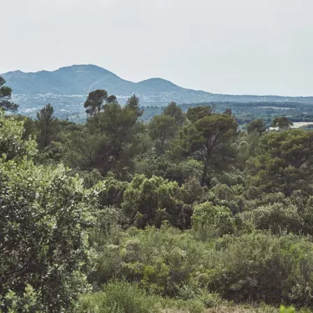 Flow Positif | Vous accompagner pour vous redonner confiance et d’aller vers cette remise en question qui vous fera avancer vers votre propre développement personnel